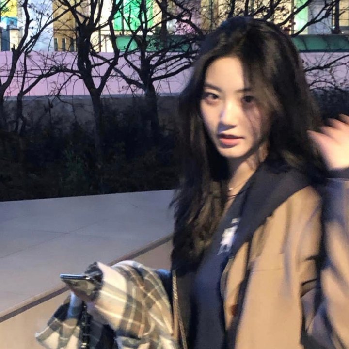 凤女龙驹